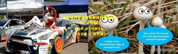 PSILOCYBIN Белоозёрский